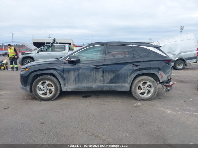 Aukcja sprzedaży 2022 Hyundai Tucson Preferred Awd With Trend Package, vin: KM8JCCAE2NU126489, numer aukcji: 12563473