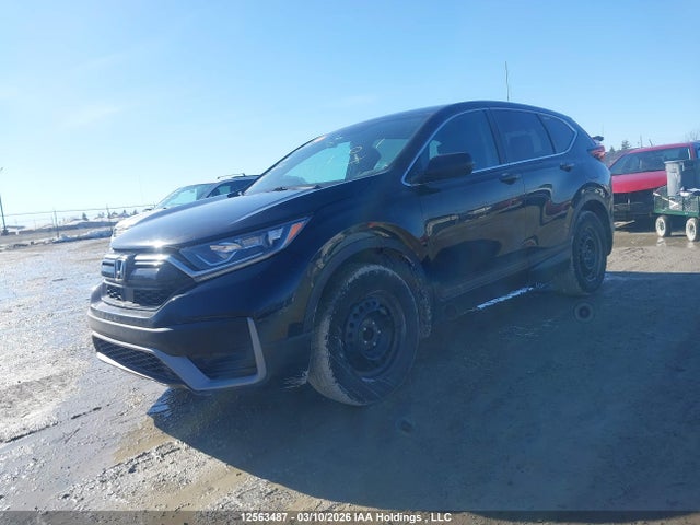 Продаж на аукціоні авто 2021 Honda Cr-v Lx, vin: 2HKRW2H26MH236605, номер лоту: 12563487