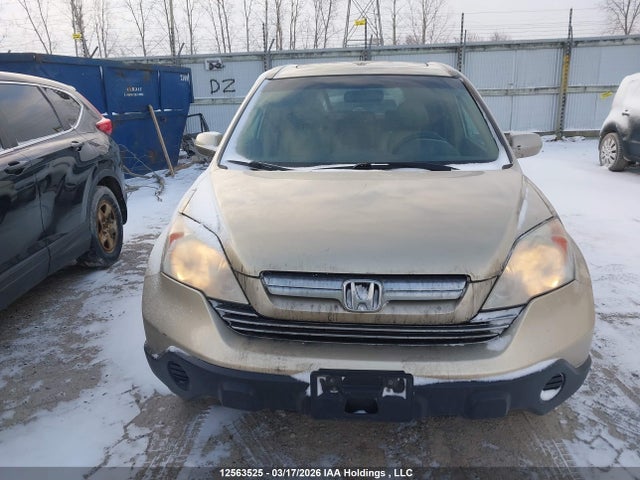 2009 Honda Cr-v Ex-l მანქანა იყიდება აუქციონზე, vin: 5J6RE48779L806683, აუქციონის ნომერი: 12563525