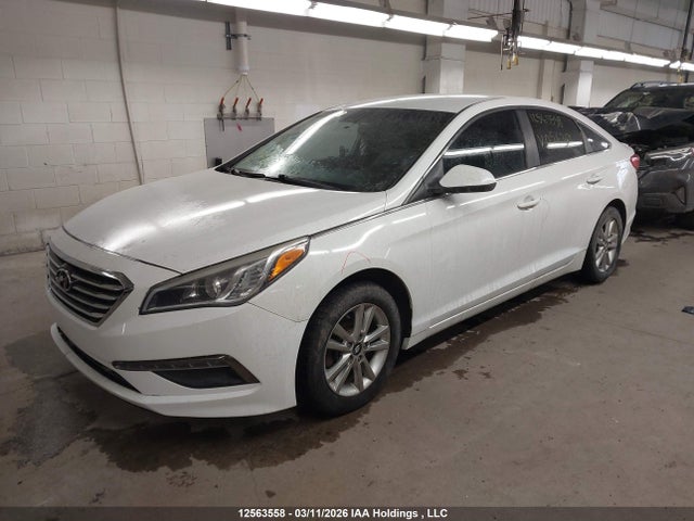 5NPE24AF0FH056381 Hyundai Sonata
