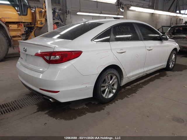 5NPE24AF0FH056381 Hyundai Sonata