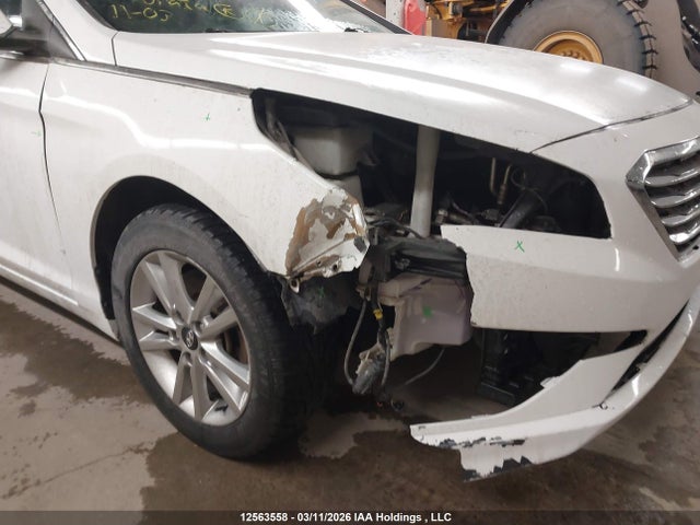 5NPE24AF0FH056381 Hyundai Sonata