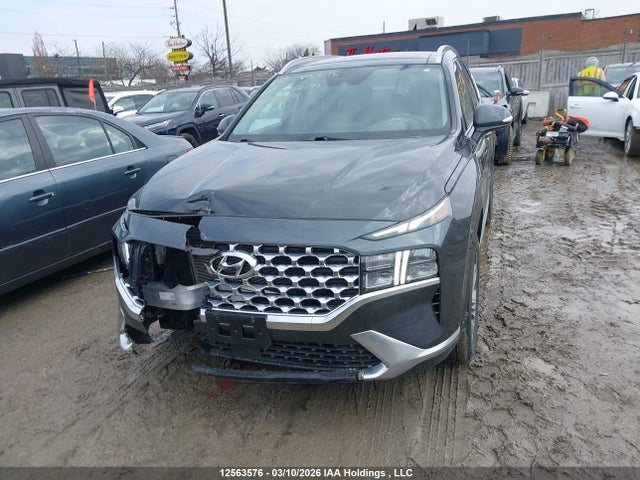Aukcja sprzedaży 2021 Hyundai Santa Fe Preferred Awd With Trend Package, vin: 5NMS3DAJ7MH366624, numer aukcji: 12563576