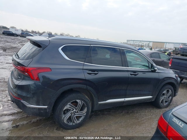 Aukcja sprzedaży 2021 Hyundai Santa Fe Preferred Awd With Trend Package, vin: 5NMS3DAJ7MH366624, numer aukcji: 12563576