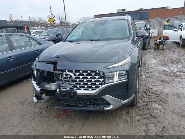Aukcja sprzedaży 2021 Hyundai Santa Fe Preferred Awd With Trend Package, vin: 5NMS3DAJ7MH366624, numer aukcji: 12563576