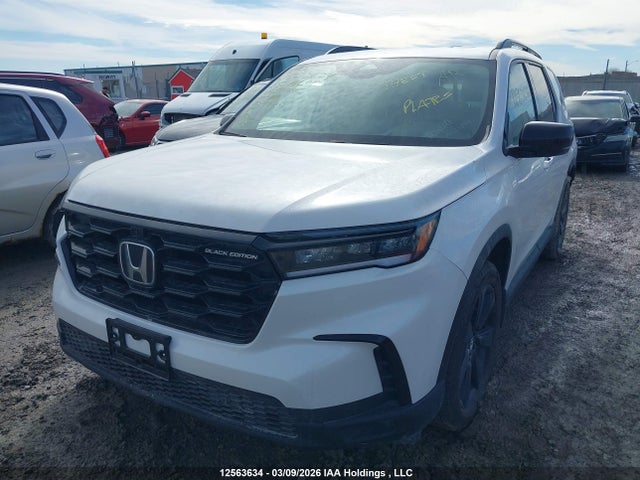 Продажа на аукционе авто 2025 Honda Pilot Black, vin: 5FNYG1H91SB507646, номер лота: 12563634