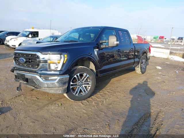 2023 Ford F150 Supercrew მანქანა იყიდება აუქციონზე, vin: 1FTFW1E88PKF65267, აუქციონის ნომერი: 12563667