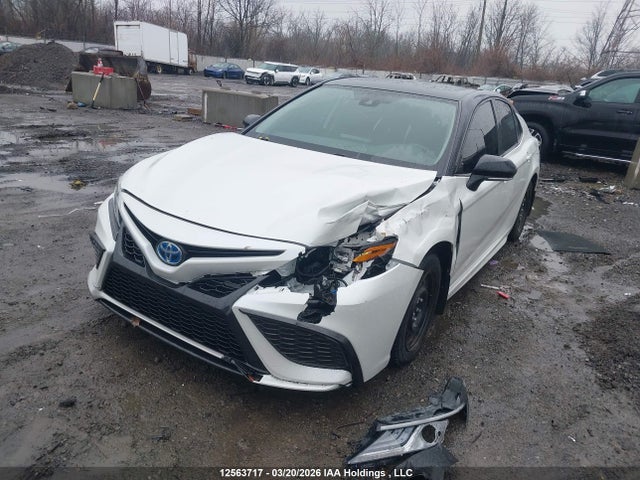 Aukcja sprzedaży 2024 Toyota Camry Xse, vin: 4T1K31AK8RU067615, numer aukcji: 12563717
