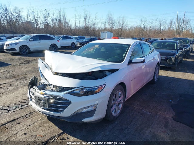 12563762 :رقم المزاد ، 1G1ZD5ST4RF234841 vin ، 2024 Chevrolet Malibu 1lt مزاد بيع