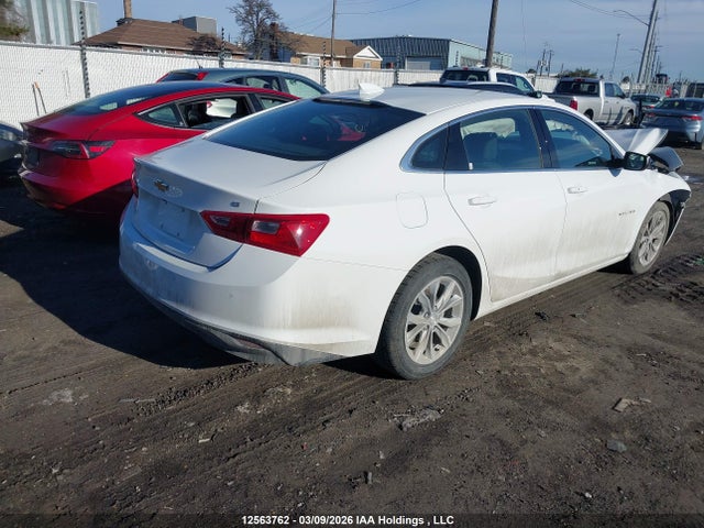 12563762 :رقم المزاد ، 1G1ZD5ST4RF234841 vin ، 2024 Chevrolet Malibu 1lt مزاد بيع