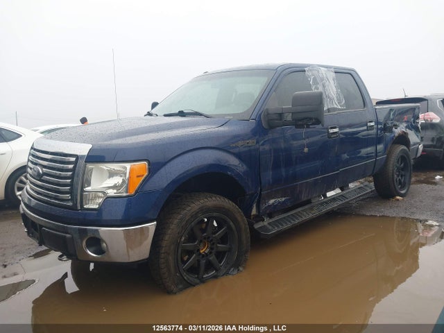 12563774 :رقم المزاد ، 1FTFW1EF6CKE11228 vin ، 2012 Ford F-150 مزاد بيع