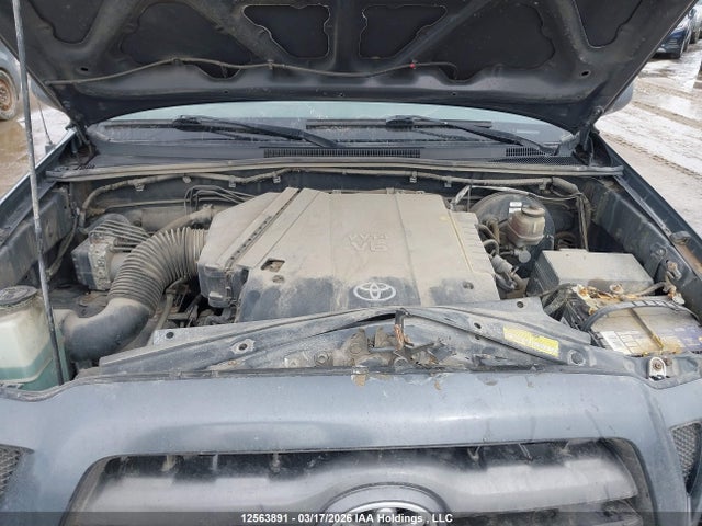 12563891 :رقم المزاد ، 5TEMU52N19Z658807 vin ، 2009 Toyota Tacoma V6 مزاد بيع