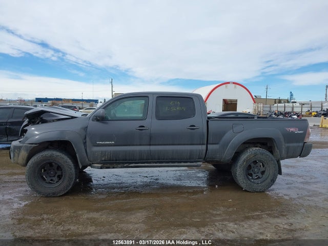 12563891 :رقم المزاد ، 5TEMU52N19Z658807 vin ، 2009 Toyota Tacoma V6 مزاد بيع