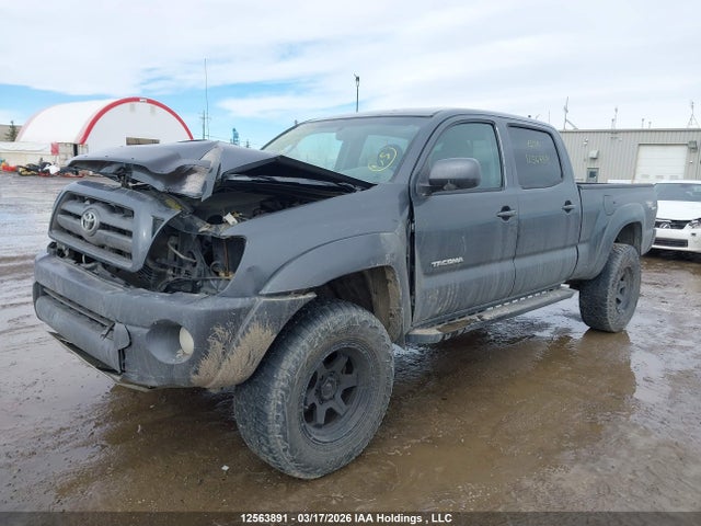12563891 :رقم المزاد ، 5TEMU52N19Z658807 vin ، 2009 Toyota Tacoma V6 مزاد بيع