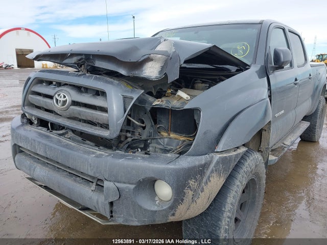 12563891 :رقم المزاد ، 5TEMU52N19Z658807 vin ، 2009 Toyota Tacoma V6 مزاد بيع