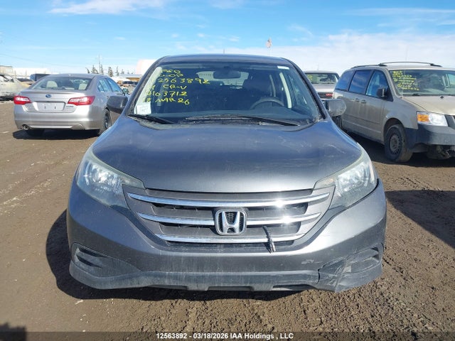 Продаж на аукціоні авто 2014 Honda Cr-v Lx, vin: 2HKRM4H36EH103712, номер лоту: 12563892