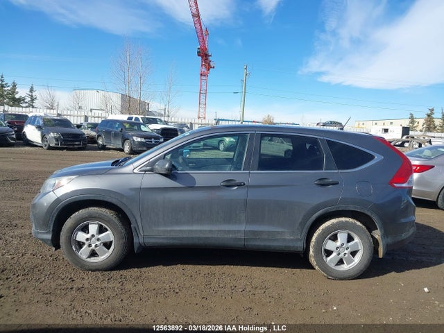 Продаж на аукціоні авто 2014 Honda Cr-v Lx, vin: 2HKRM4H36EH103712, номер лоту: 12563892
