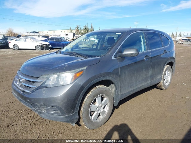 Продаж на аукціоні авто 2014 Honda Cr-v Lx, vin: 2HKRM4H36EH103712, номер лоту: 12563892