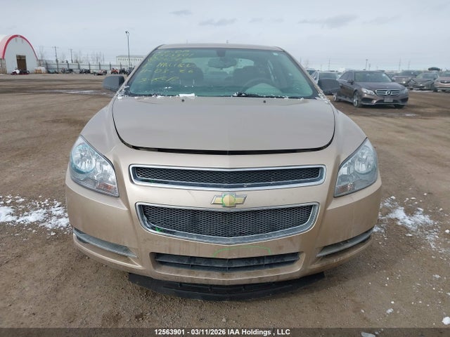 12563901 :رقم المزاد ، 1G1ZG57B58F268776 vin ، 2008 Chevrolet Malibu Ls مزاد بيع