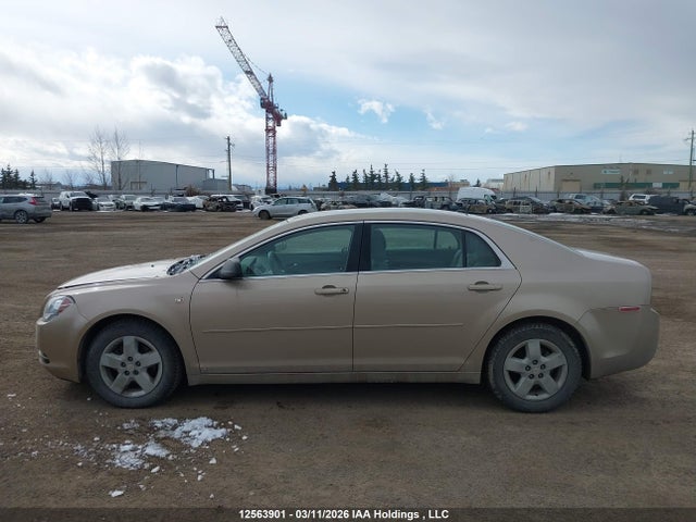 12563901 :رقم المزاد ، 1G1ZG57B58F268776 vin ، 2008 Chevrolet Malibu Ls مزاد بيع