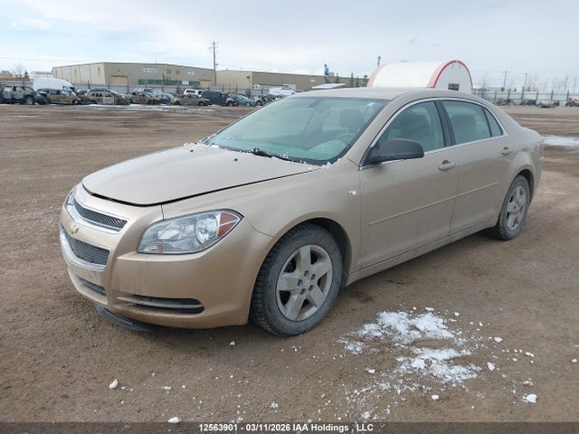 12563901 :رقم المزاد ، 1G1ZG57B58F268776 vin ، 2008 Chevrolet Malibu Ls مزاد بيع