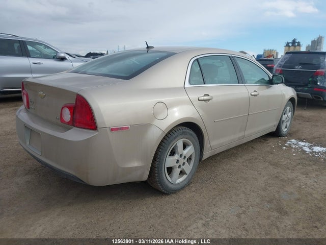 12563901 :رقم المزاد ، 1G1ZG57B58F268776 vin ، 2008 Chevrolet Malibu Ls مزاد بيع