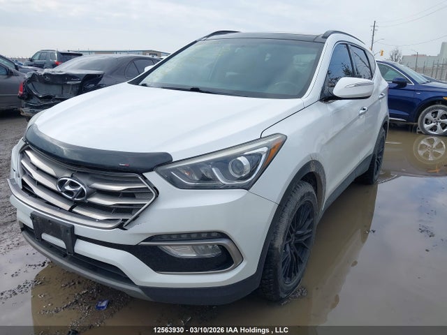 5XYZUDLB7HG451917 Hyundai Santa Fe