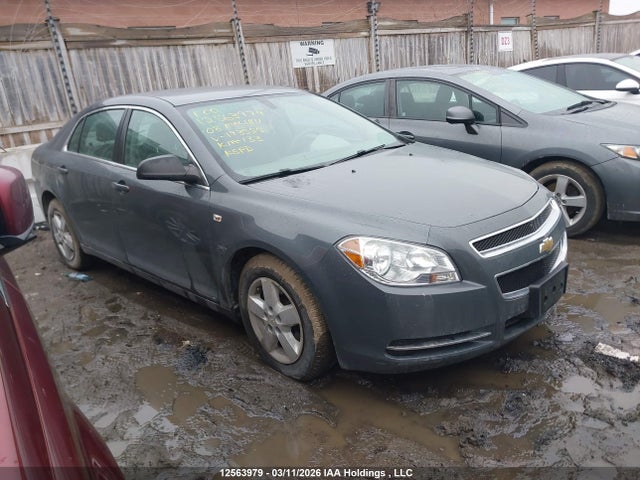 Продаж на аукціоні авто 2008 Chevrolet Malibu Ls, vin: 1G1ZG57B88F193555, номер лоту: 12563979