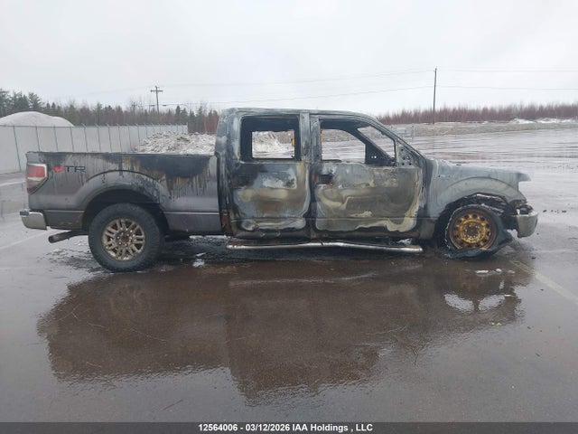 Aukcja sprzedaży 2014 Ford F-150 Xlt, vin: 1FTFW1EF8EKG12907, numer aukcji: 12564006