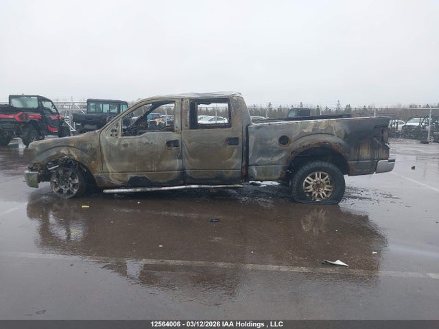 Aukcja sprzedaży 2014 Ford F-150 Xlt, vin: 1FTFW1EF8EKG12907, numer aukcji: 12564006