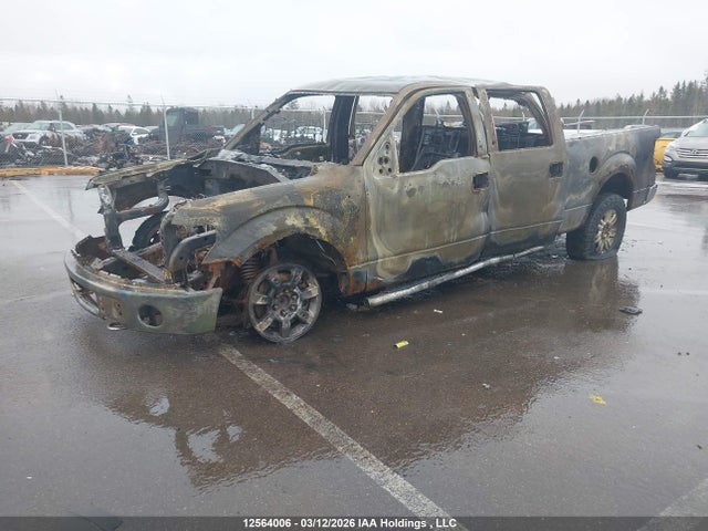 Aukcja sprzedaży 2014 Ford F-150 Xlt, vin: 1FTFW1EF8EKG12907, numer aukcji: 12564006