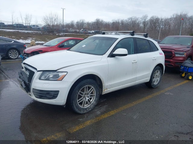 12564011 :رقم المزاد ، WA1LKCFP7AA083090 vin ، 2010 Audi Q5 مزاد بيع