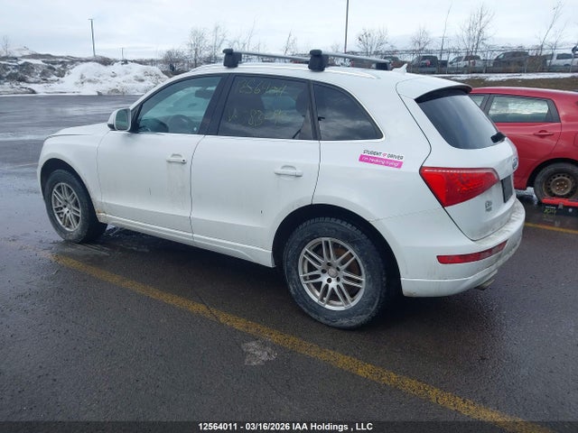 12564011 :رقم المزاد ، WA1LKCFP7AA083090 vin ، 2010 Audi Q5 مزاد بيع