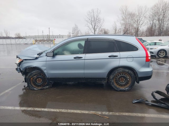 2009 Honda Cr-v Ex მანქანა იყიდება აუქციონზე, vin: 5J6RE48569L811937, აუქციონის ნომერი: 12564019