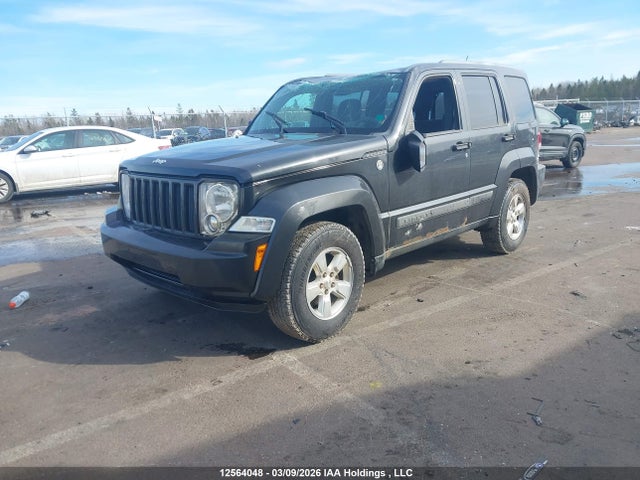 2011 Jeep Liberty Sport მანქანა იყიდება აუქციონზე, vin: 1J4PN2GK5BW571187, აუქციონის ნომერი: 12564048