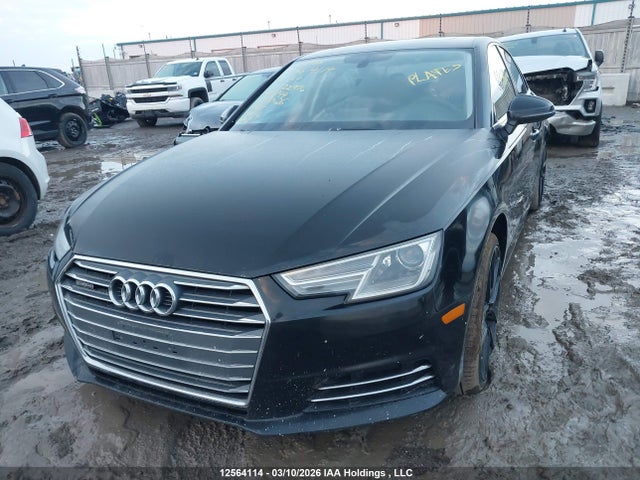 Продаж на аукціоні авто 2017 Audi A4 Premium, vin: WAUANAF4XHN022976, номер лоту: 12564114