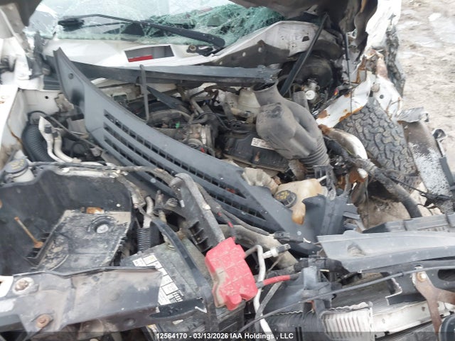 12564170 :رقم المزاد ، 1FTEX1CM1BFB11498 vin ، 2011 Ford F-150 Xl مزاد بيع