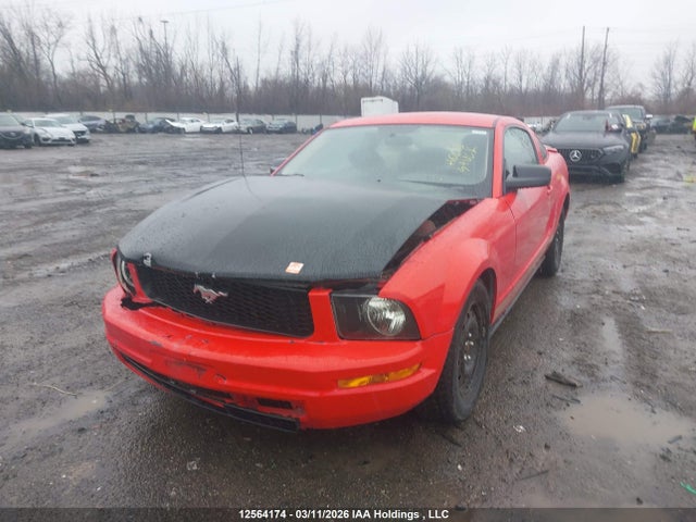 Aukcja sprzedaży 2007 Ford Mustang, vin: 1ZVFT80N975340950, numer aukcji: 12564174