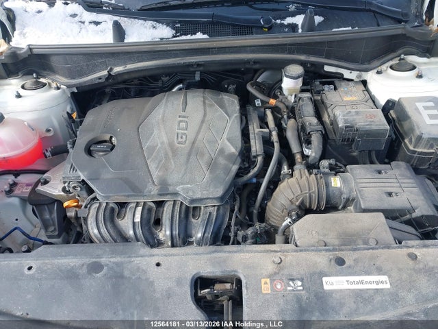 12564181 :رقم المزاد ، KNDPU3DF1R7244246 vin ، 2024 Kia Sportage Lx مزاد بيع