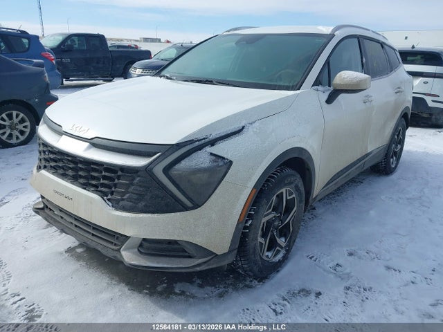 12564181 :رقم المزاد ، KNDPU3DF1R7244246 vin ، 2024 Kia Sportage Lx مزاد بيع