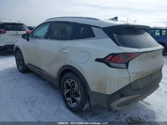 12564181 :رقم المزاد ، KNDPU3DF1R7244246 vin ، 2024 Kia Sportage Lx مزاد بيع