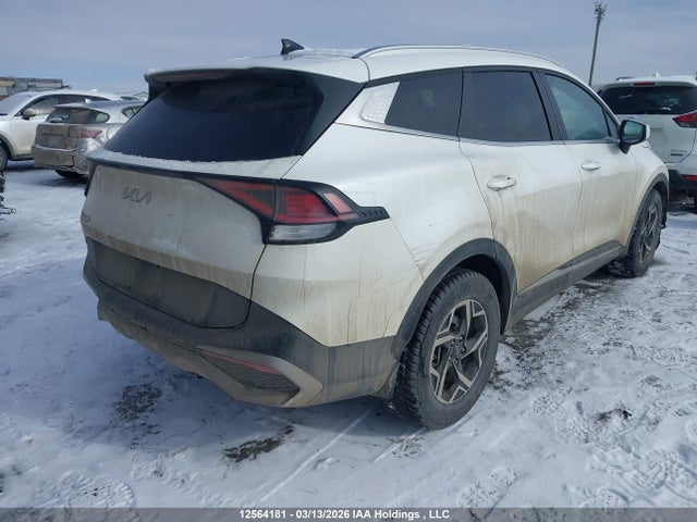 12564181 :رقم المزاد ، KNDPU3DF1R7244246 vin ، 2024 Kia Sportage Lx مزاد بيع