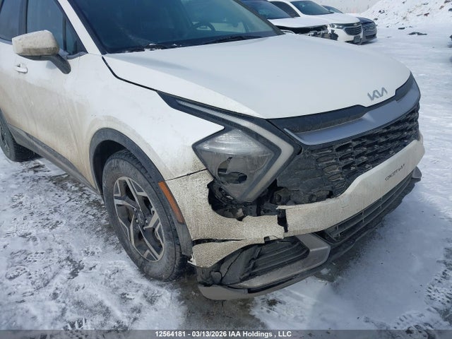 12564181 :رقم المزاد ، KNDPU3DF1R7244246 vin ، 2024 Kia Sportage Lx مزاد بيع