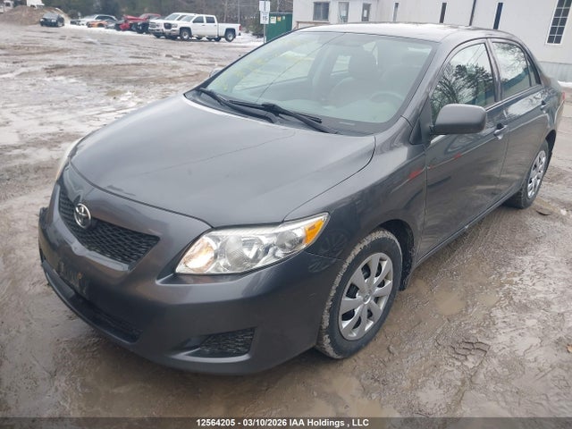 Aukcja sprzedaży 2010 Toyota Corolla, vin: 2T1BU4EE9AC304105, numer aukcji: 12564205