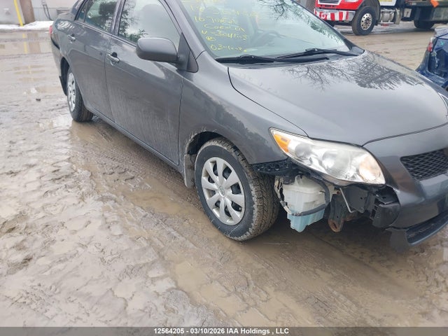 Aukcja sprzedaży 2010 Toyota Corolla, vin: 2T1BU4EE9AC304105, numer aukcji: 12564205