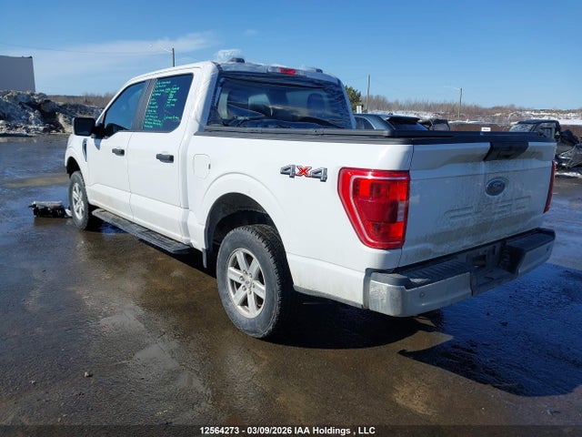 Ford F150 Supercrew 2023 1FTEW1EB3PKD47003 Image 3
