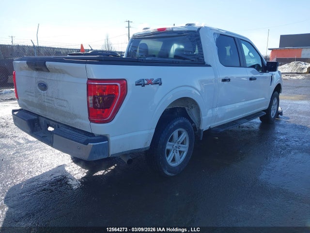 Ford F150 Supercrew 2023 1FTEW1EB3PKD47003 Image 4