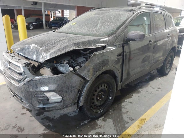 12564318 :رقم المزاد ، 1FMCU9G96HUD31353 vin ، 2017 Ford Escape Se مزاد بيع