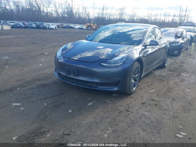 Продажа на аукционе авто 2021 Tesla Model 3 Standard Range/standard Range Plus, vin: 5YJ3E1EA8MF848558, номер лота: 12564328