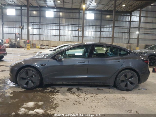 Продаж на аукціоні авто 2023 Tesla Model 3 Rwd, vin: LRW3E1FA9PC945216, номер лоту: 12564371